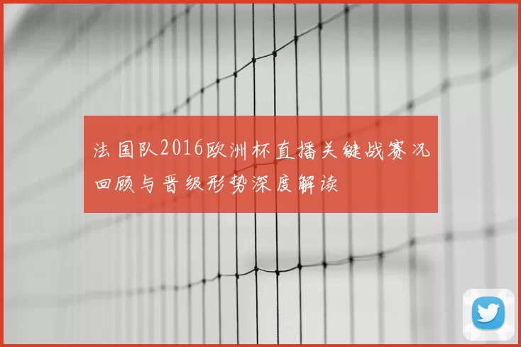 法国队2016欧洲杯直播关键战赛况回顾与晋级形势深度解读