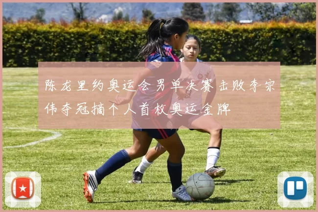 陈龙里约奥运会男单决赛击败李宗伟夺冠摘个人首枚奥运金牌