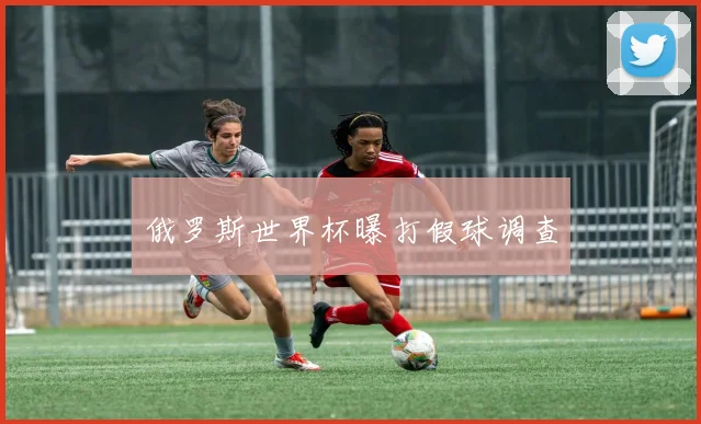 俄罗斯世界杯曝打假球调查