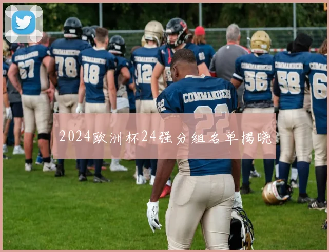 2024欧洲杯24强分组名单揭晓